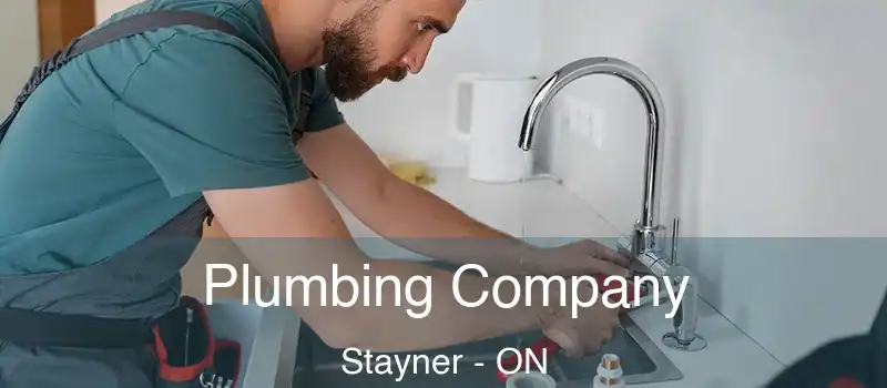  Plumbing Company Stayner - ON