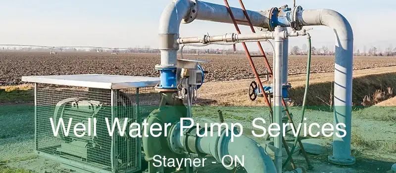 Well Water Pump Services Stayner - ON